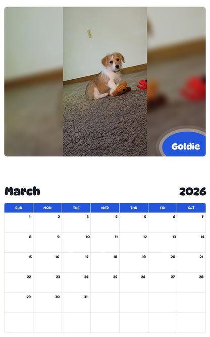 November 2025 - October 2026 Goldie - Pawidols Pet Calendar