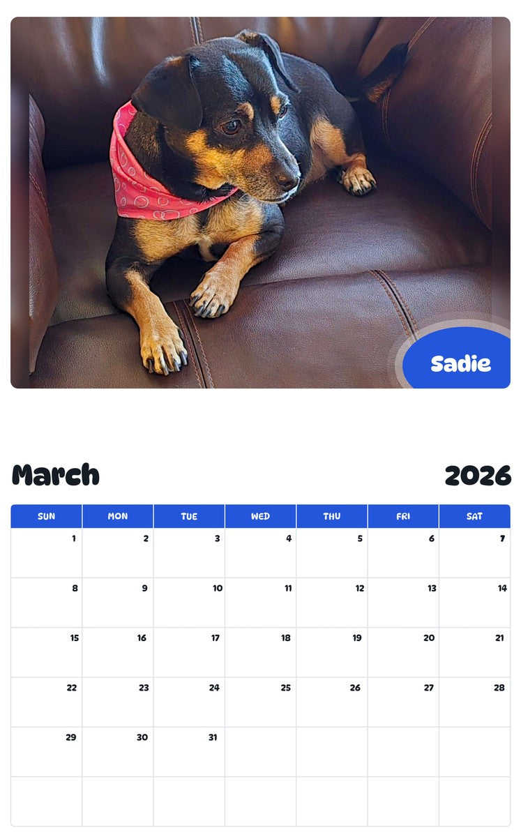 November 2025 - October 2026 Sadie - Pawidols Pet Calendar