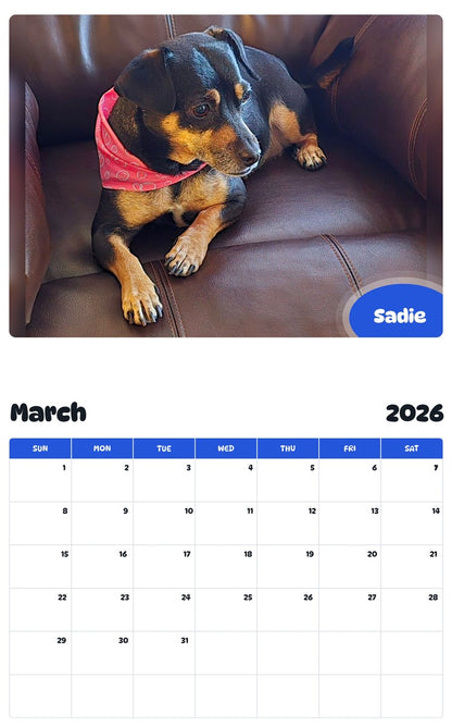 November 2025 - October 2026 Sadie - Pawidols Pet Calendar