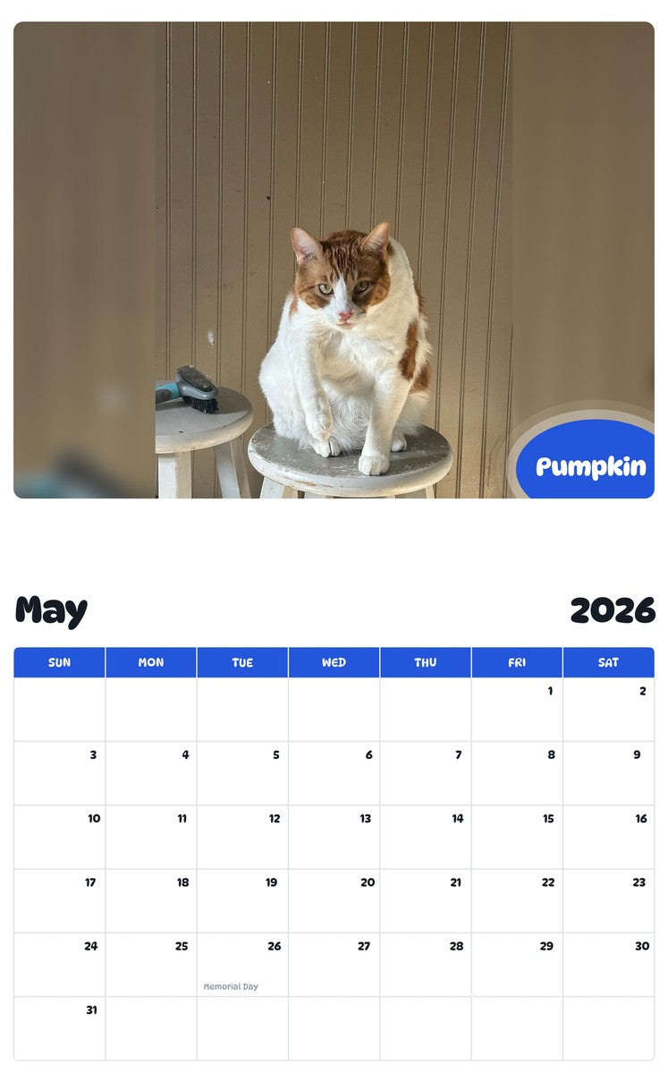 2026 - 2027 Pumpkin - Pawidols Pet Calendar