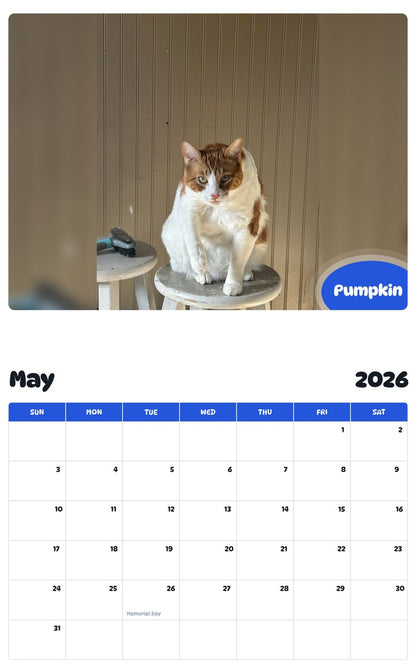 2026 - 2027 Pumpkin - Pawidols Pet Calendar