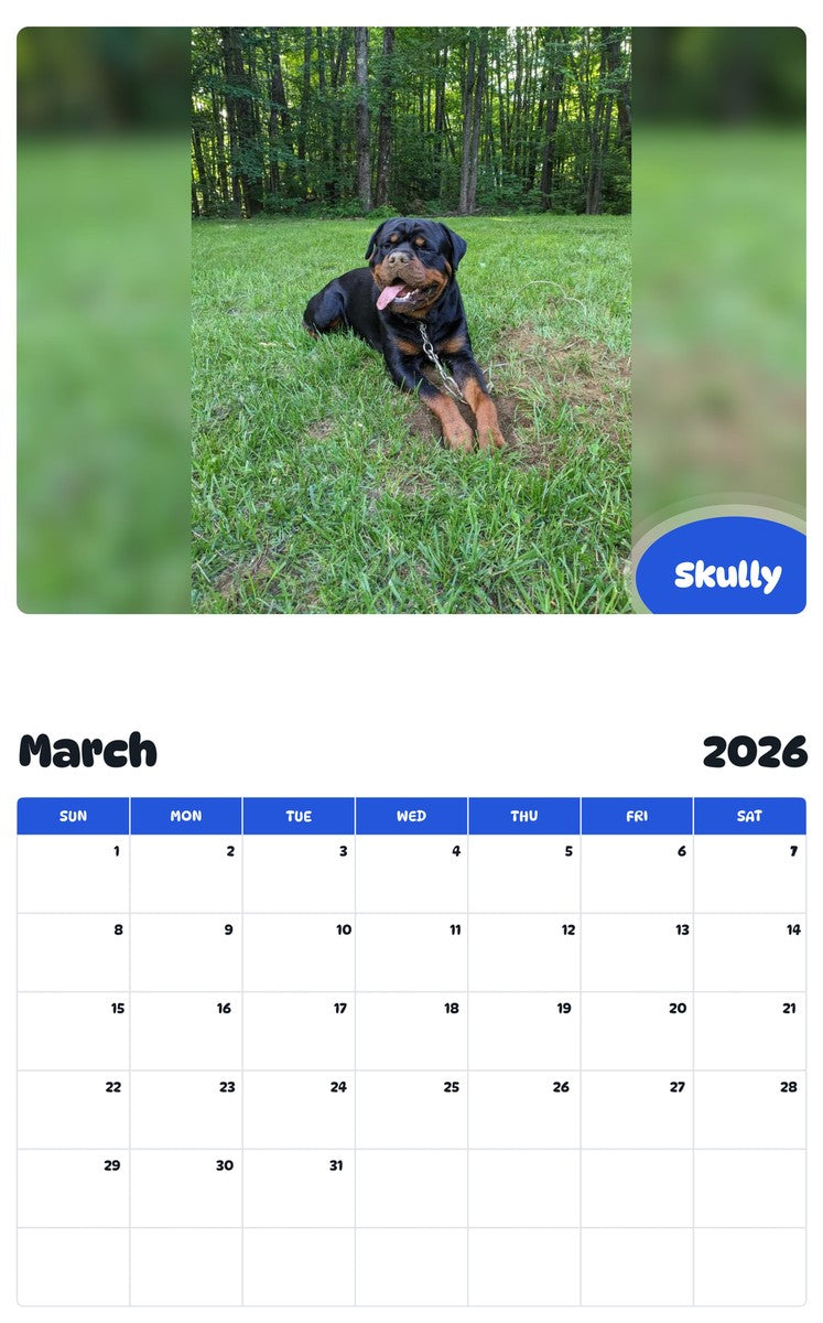 November 2025 - October 2026 Skully - Pawidols Pet Calendar