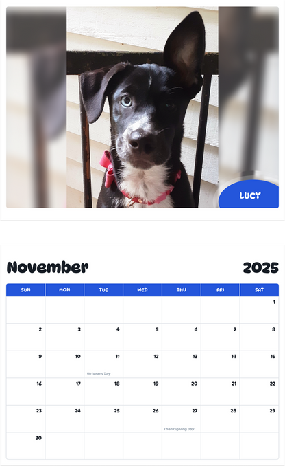 July 2025 - June 2026 Lucy - Pawidols Pet Calendar