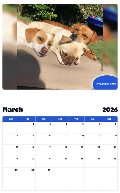 November 2025 - October 2026 Finny, Fergie & Ruthie - Pawidols Pet Calendar