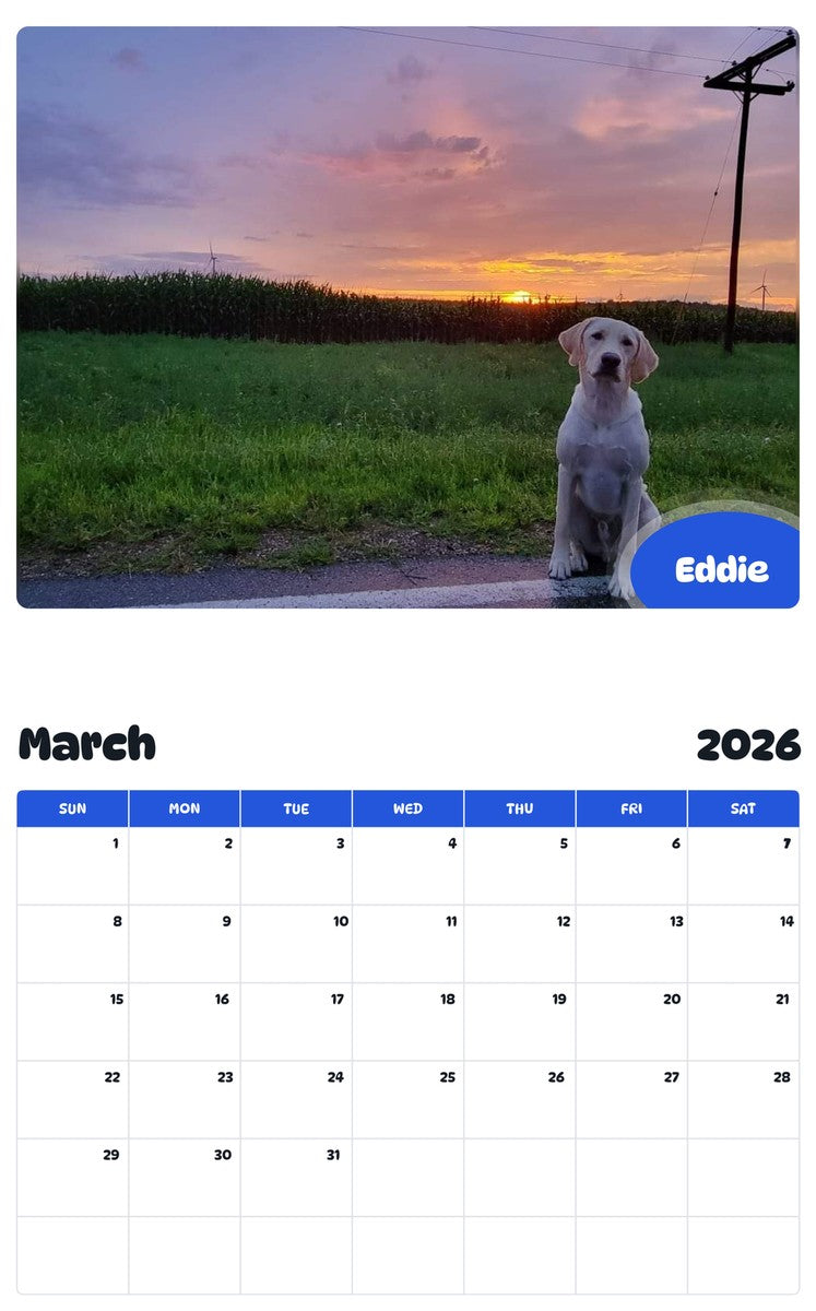 November 2025 - October 2026 Eddie - Pawidols Pet Calendar