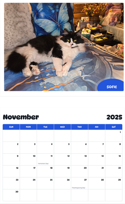 July 2025 - June 2026 Sofie - Pawidols Pet Calendar