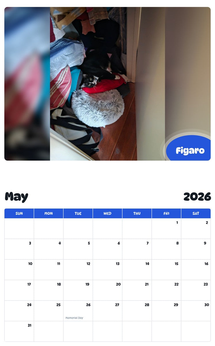 2026 - 2027 Figaro - Pawidols Pet Calendar