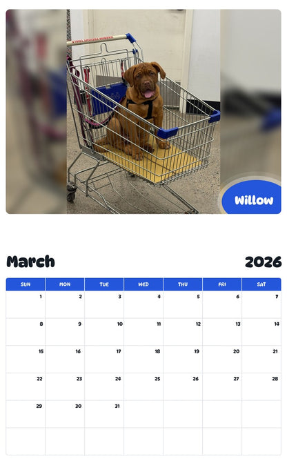 November 2025 - October 2026 Willow - Pawidols Pet Calendar