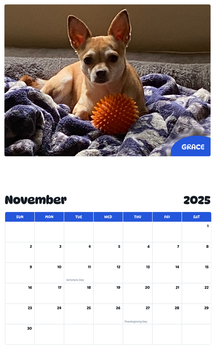 July 2025 - June 2026 Grace - Pawidols Pet Calendar