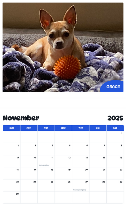 July 2025 - June 2026 Grace - Pawidols Pet Calendar