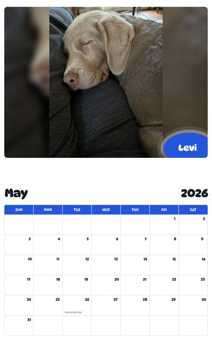 2026 - 2027 Levi - Pawidols Pet Calendar