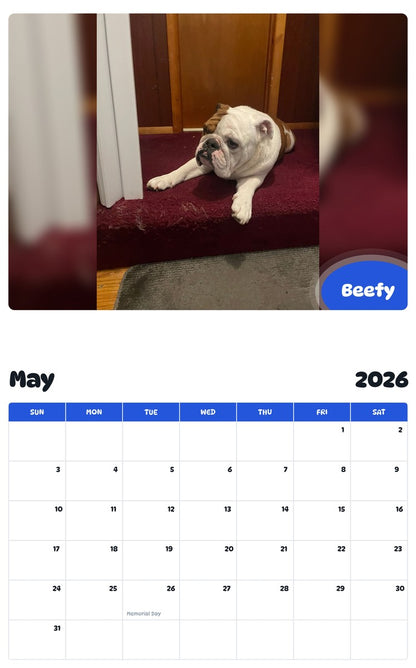2026 - 2027 Beefy - Pawidols Pet Calendar