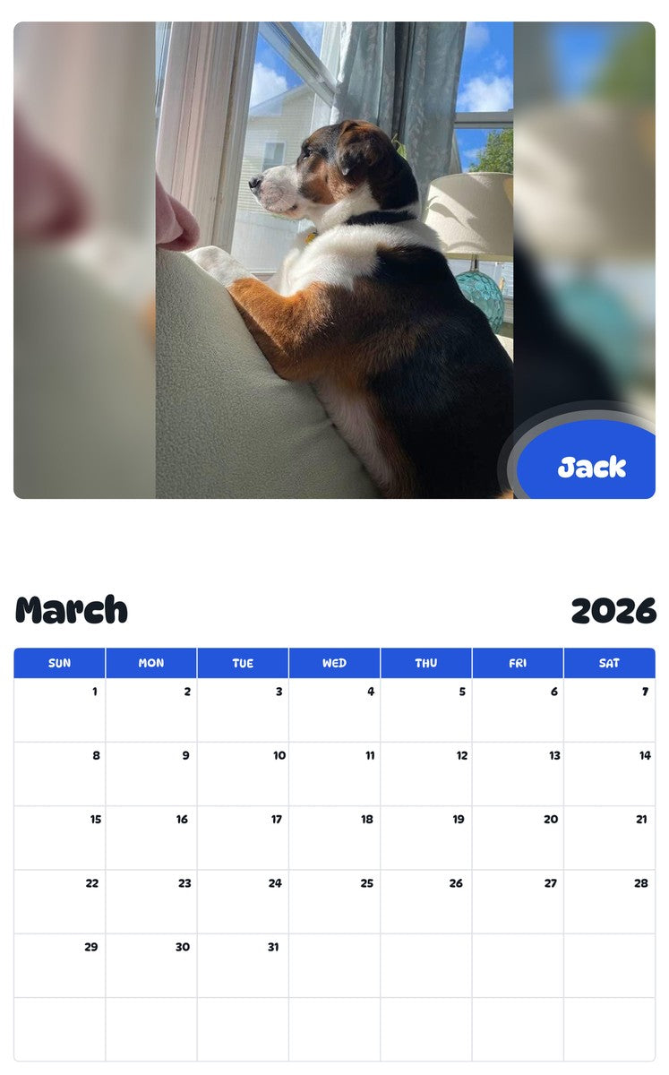 November 2025 - October 2026 Jack - Pawidols Pet Calendar
