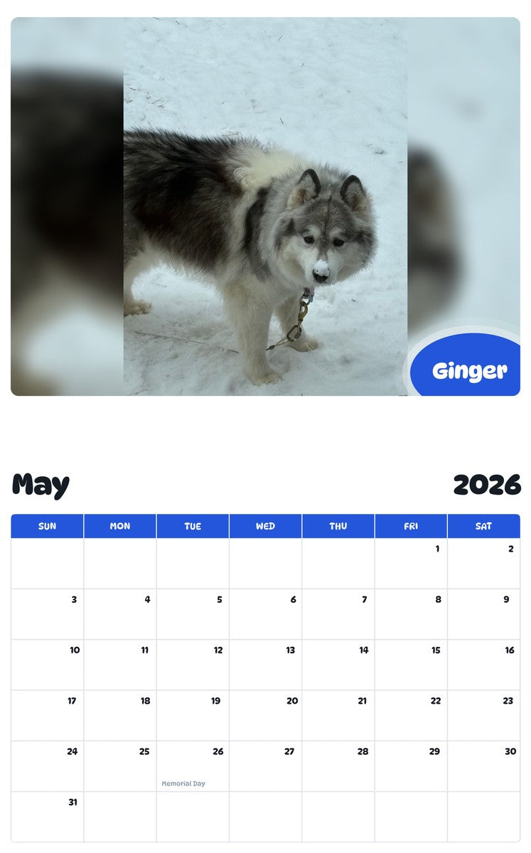 2026 - 2027 Ginger - Pawidols Pet Calendar