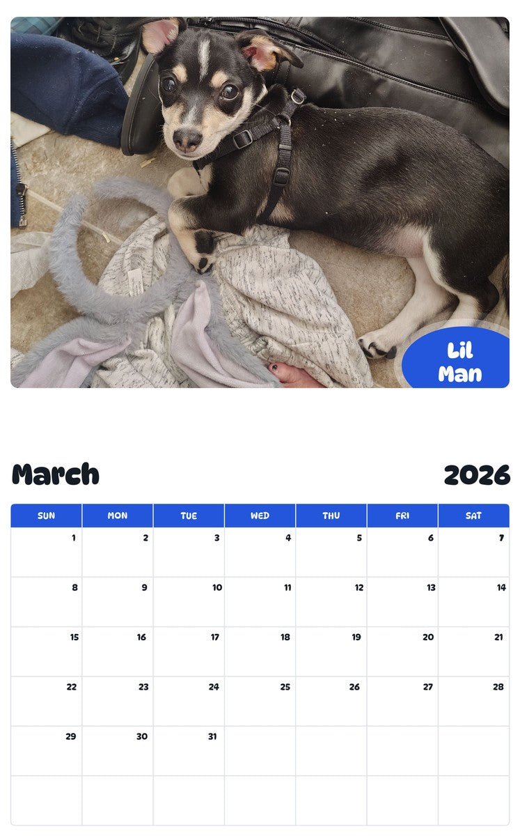 November 2025 - October 2026 Lil Man - Pawidols Pet Calendar