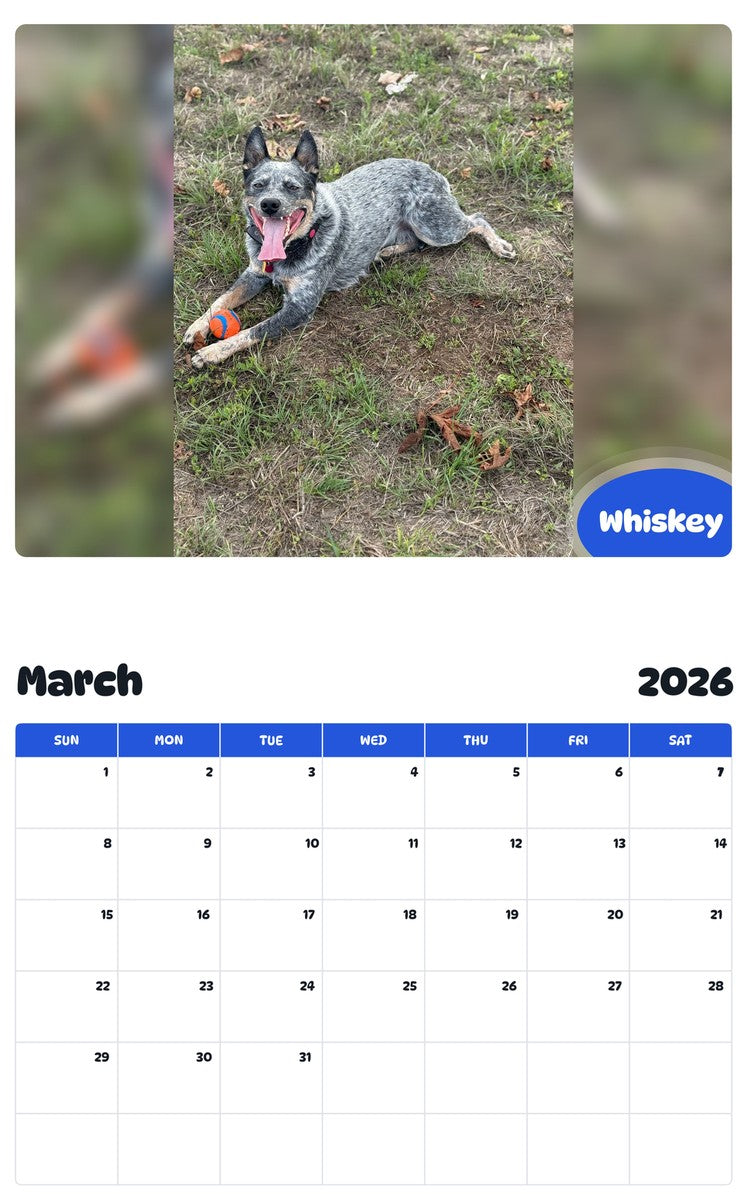 November 2025 - October 2026 Whiskey - Pawidols Pet Calendar