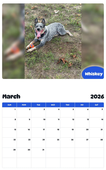 November 2025 - October 2026 Whiskey - Pawidols Pet Calendar