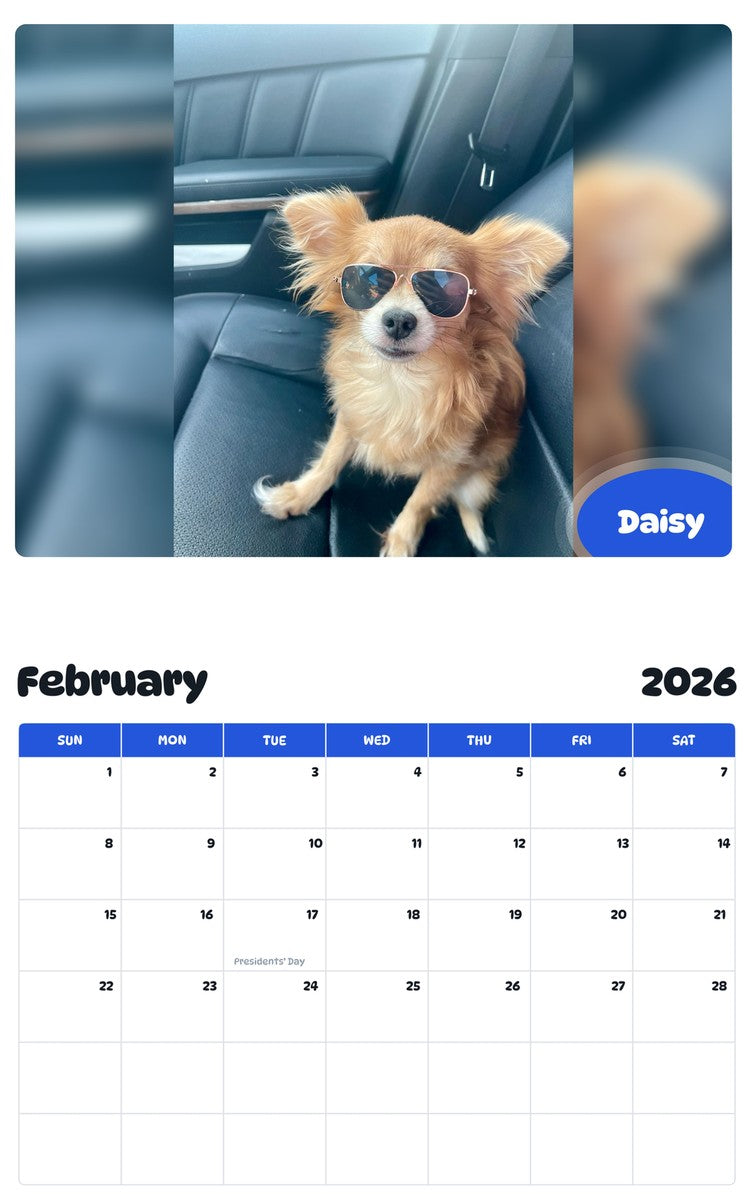 November 2025 - October 2026 Daisy - Pawidols Pet Calendar