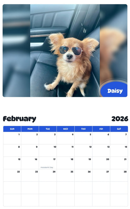 November 2025 - October 2026 Daisy - Pawidols Pet Calendar