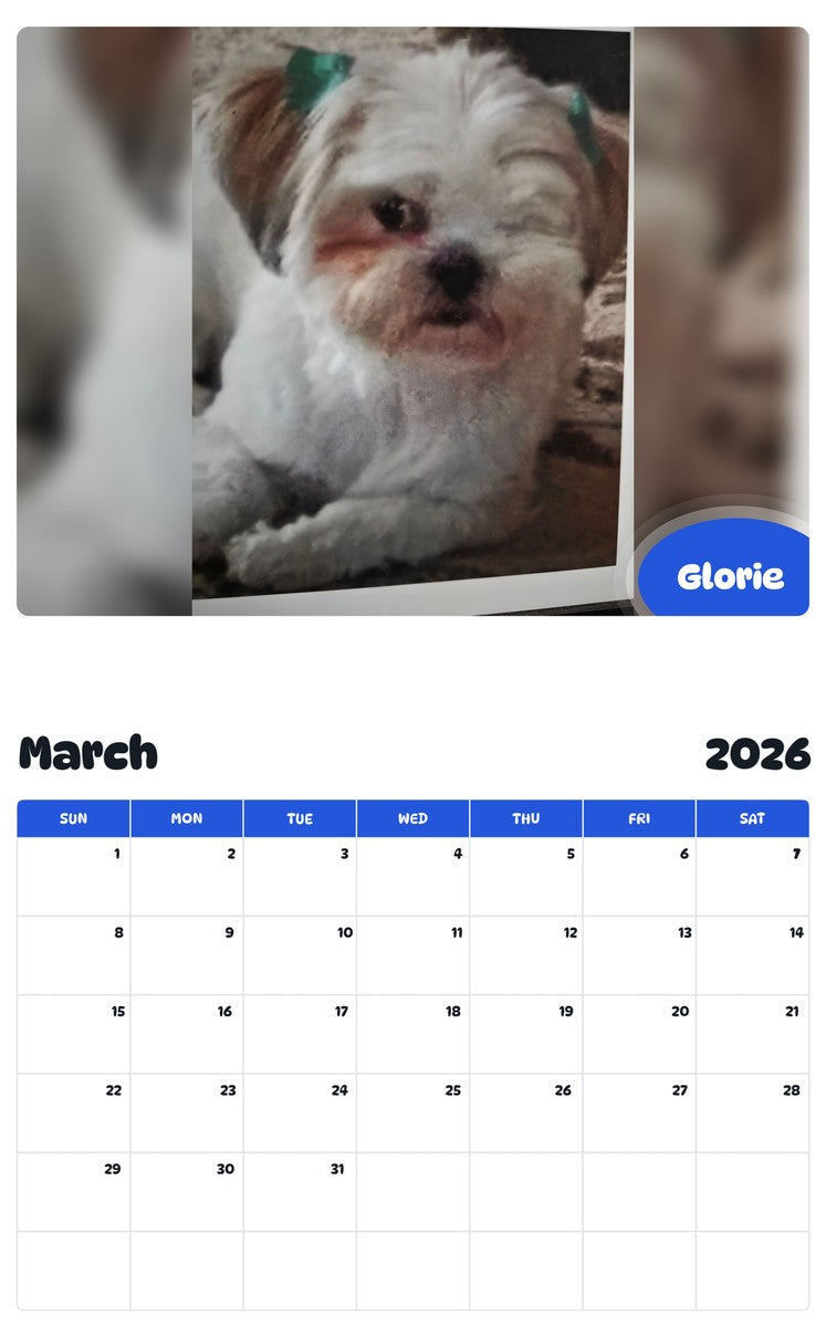 November 2025 - October 2026 Glorie - Pawidols Pet Calendar
