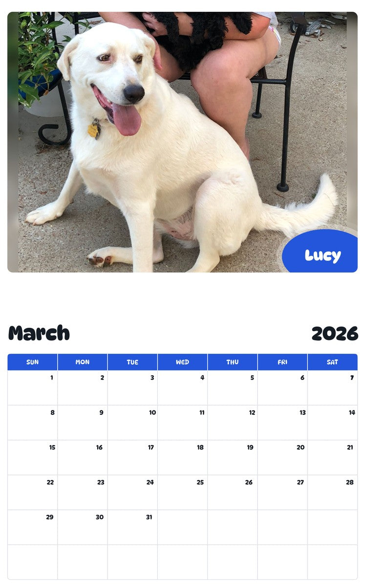 November 2025 - October 2026 Lucy - Pawidols Pet Calendar