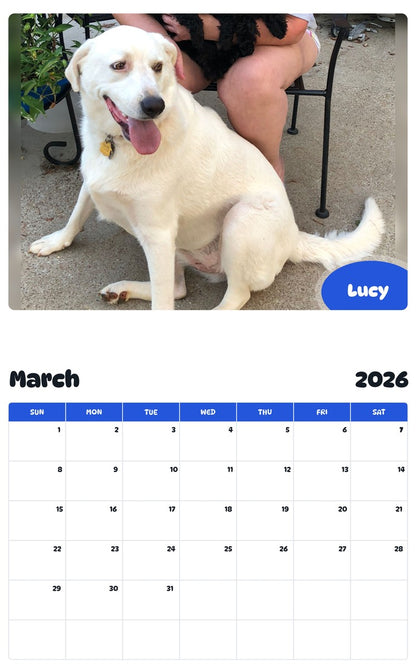 November 2025 - October 2026 Lucy - Pawidols Pet Calendar