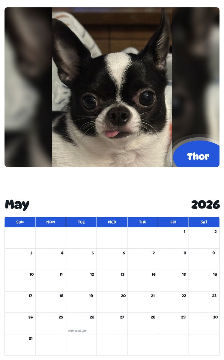 2026 - 2027 Thor - Pawidols Pet Calendar