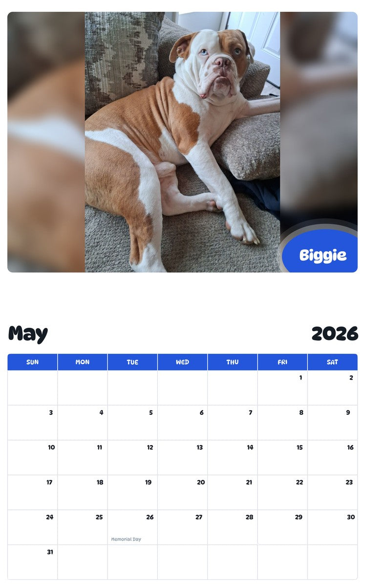 2026 - 2027 Biggie - Pawidols Pet Calendar