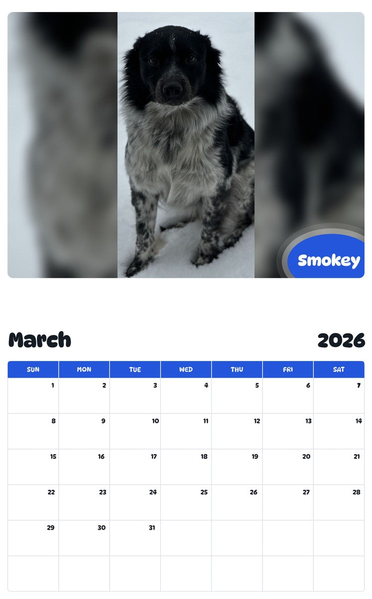 November 2025 - October 2026 Smokey - Pawidols Pet Calendar