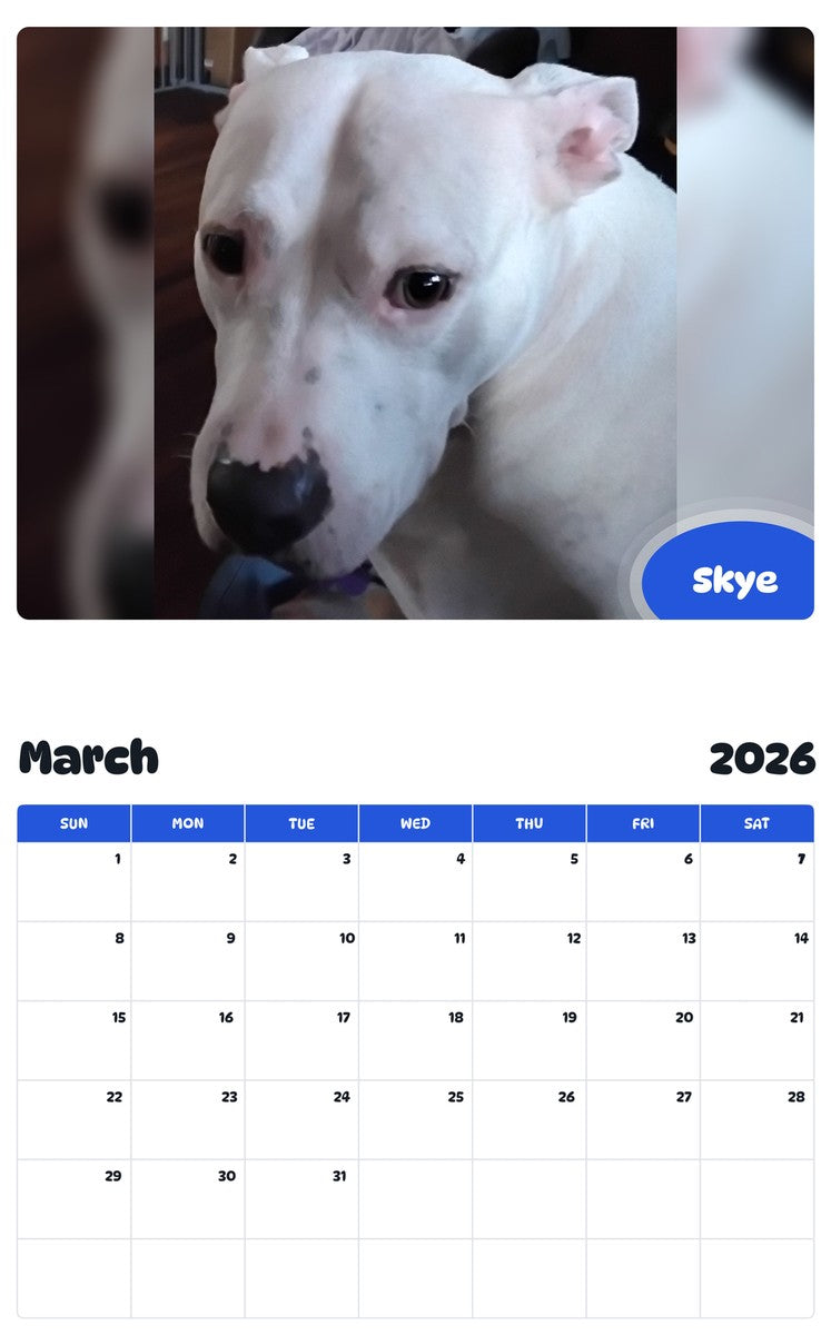 November 2025 - October 2026 Skye - Pawidols Pet Calendar