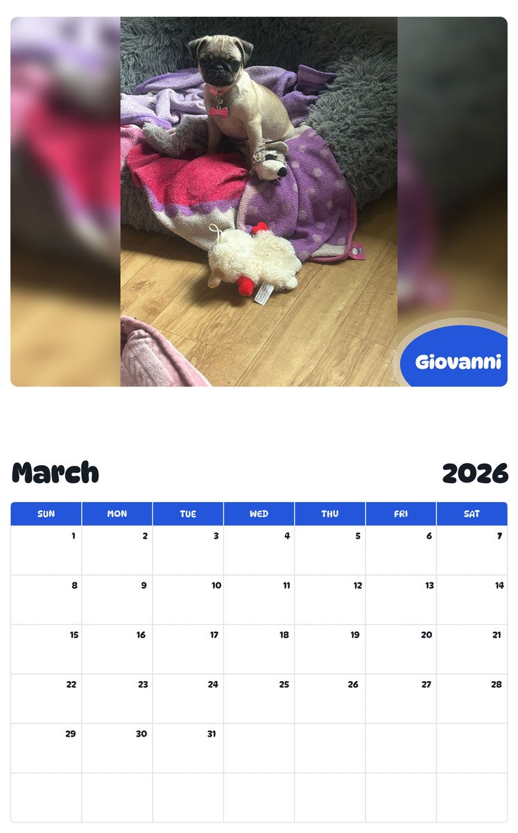 November 2025 - October 2026 Giovanni - Pawidols Pet Calendar
