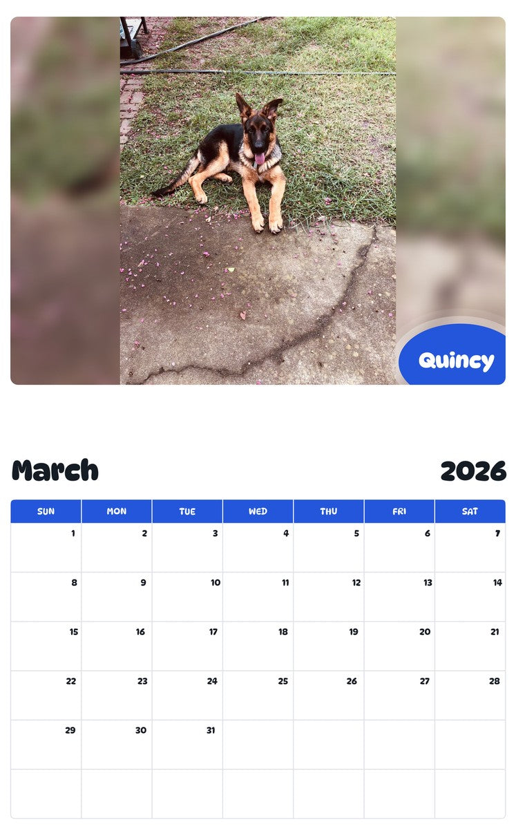 November 2025 - October 2026 Quincy - Pawidols Pet Calendar