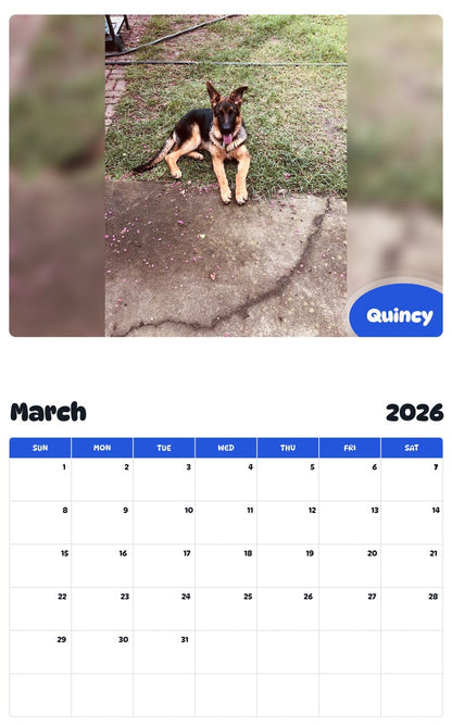 November 2025 - October 2026 Quincy - Pawidols Pet Calendar