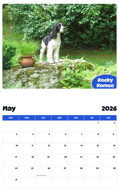2026 - 2027 Rocky Romeo - Pawidols Pet Calendar