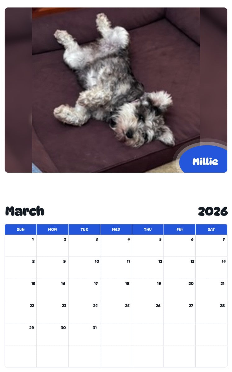 November 2025 - October 2026 Millie - Pawidols Pet Calendar