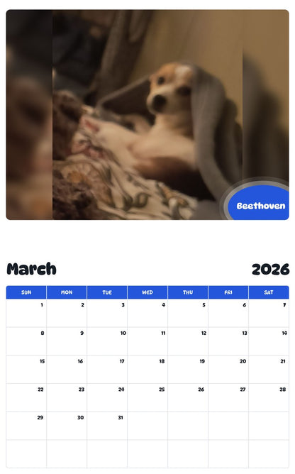 November 2025 - October 2026 Beethoven - Pawidols Pet Calendar