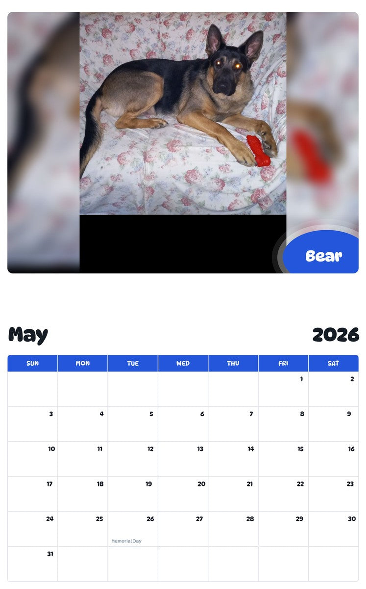 2026 - 2027 Bear - Pawidols Pet Calendar
