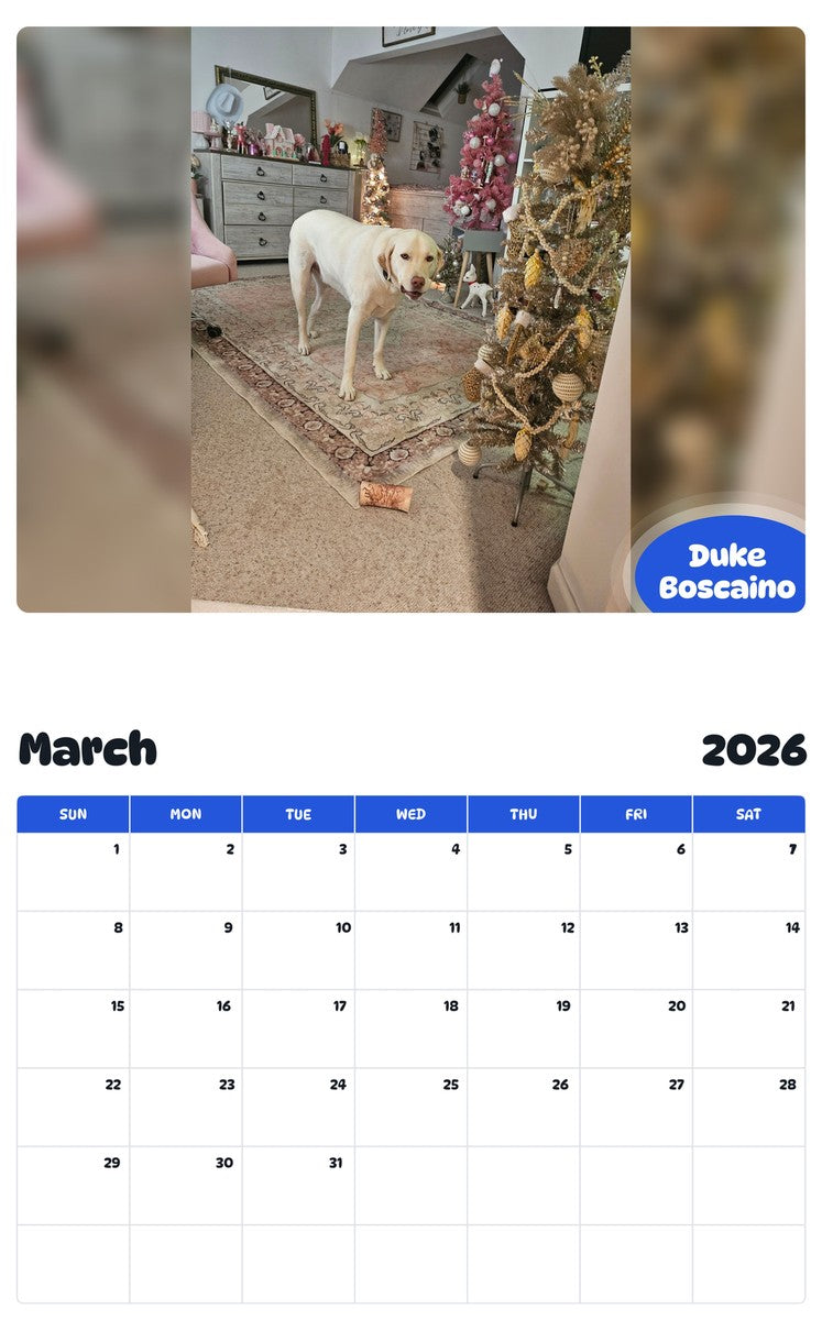 November 2025 - October 2026 Duke Boscaino - Pawidols Pet Calendar