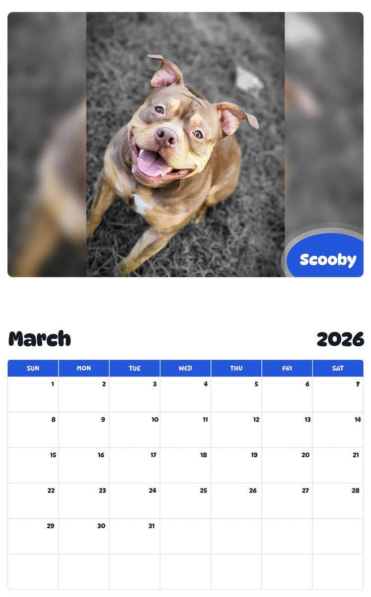 November 2025 - October 2026 Scooby - Pawidols Pet Calendar