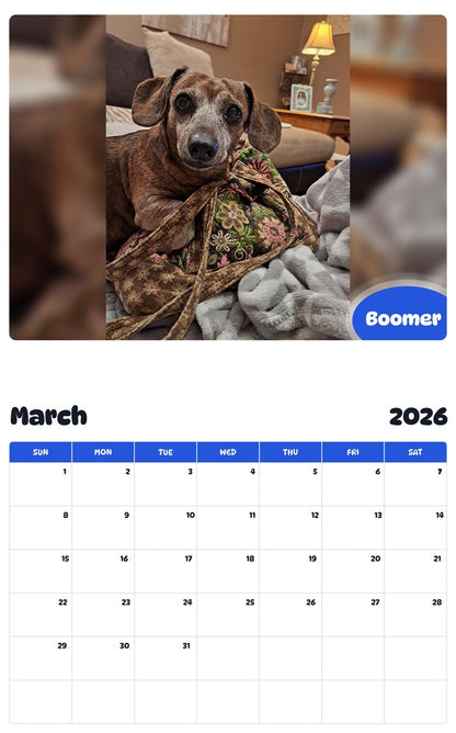 November 2025 - October 2026 Boomer - Pawidols Pet Calendar