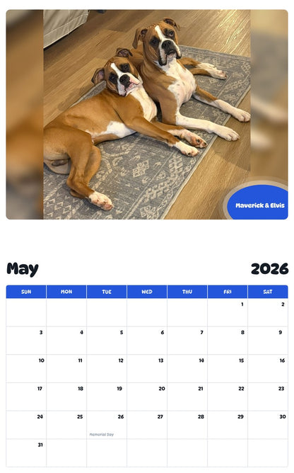 2026 - 2027 Maverick & Elvis - Pawidols Pet Calendar