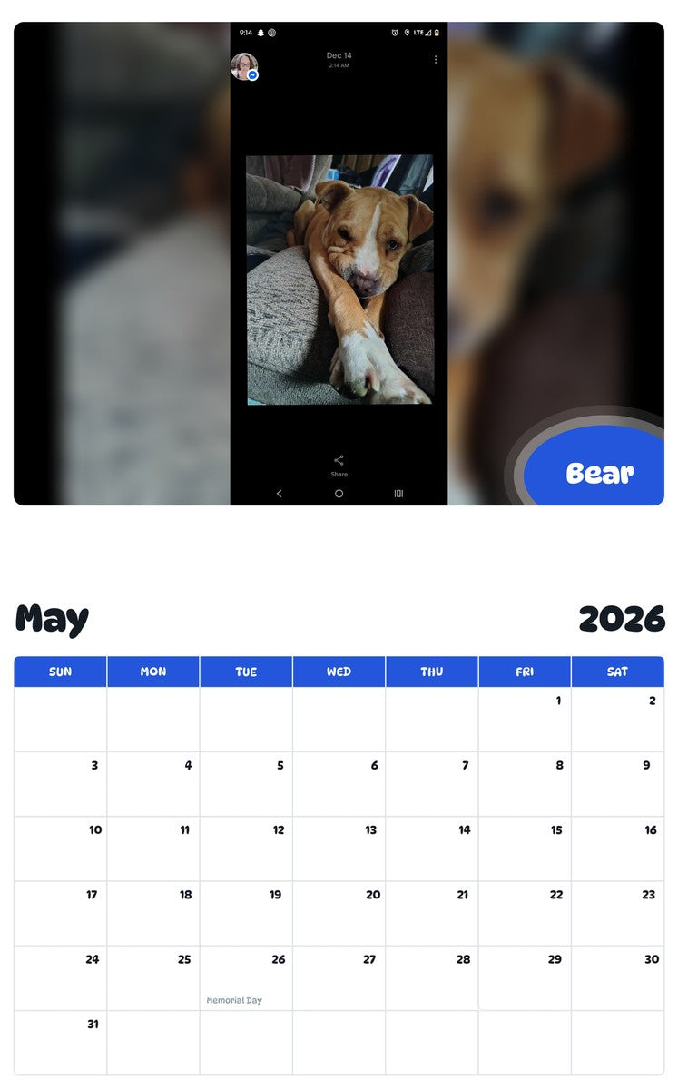 2026 - 2027 Bear - Pawidols Pet Calendar