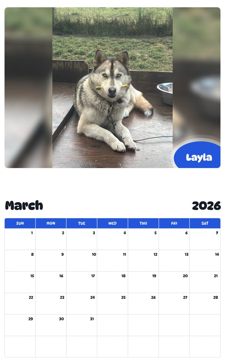 November 2025 - October 2026 Layla - Pawidols Pet Calendar