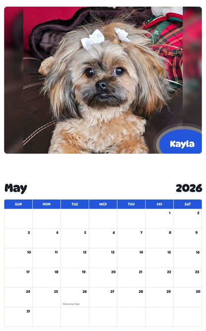 2026 - 2027 Kayla - Pawidols Pet Calendar