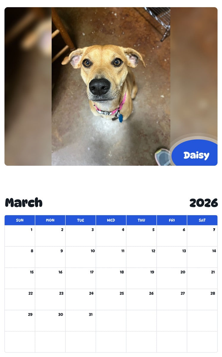 November 2025 - October 2026 Daisy - Pawidols Pet Calendar