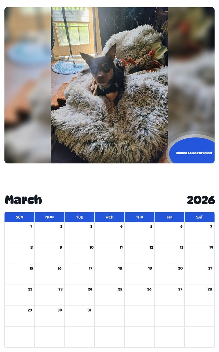 November 2025 - October 2026 Romeo Louis Foreman - Pawidols Pet Calendar