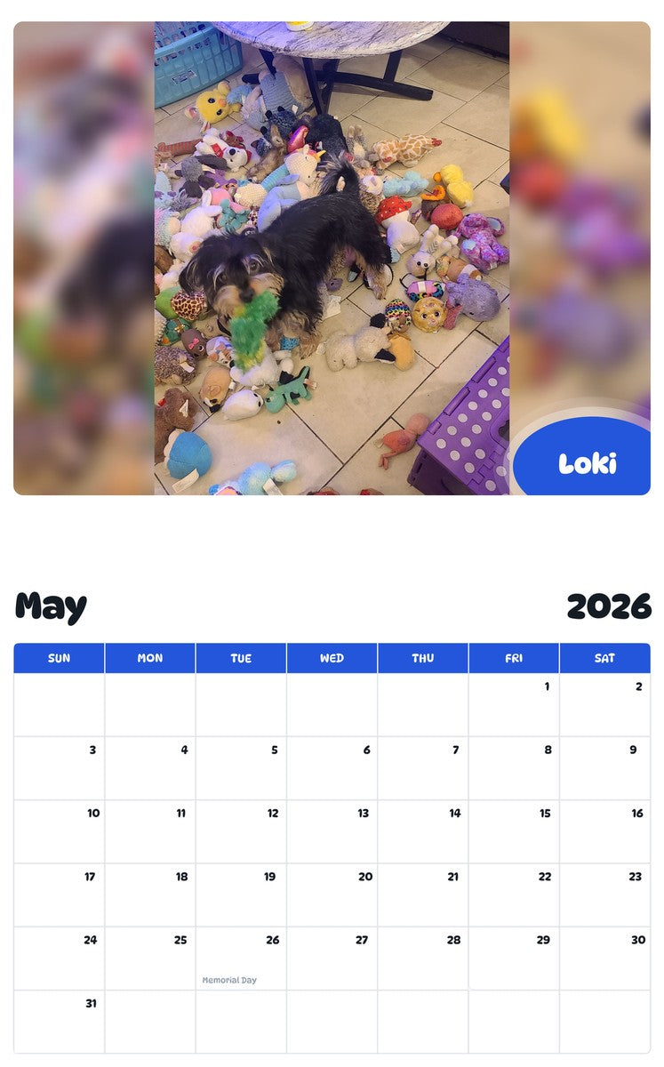 2026 - 2027 Loki - Pawidols Pet Calendar