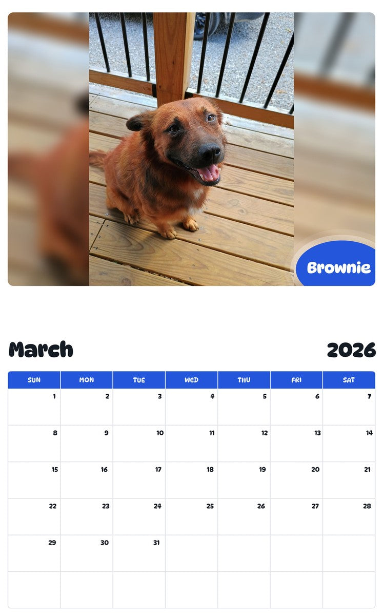 November 2025 - October 2026 Brownie - Pawidols Pet Calendar