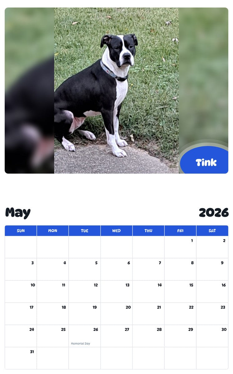 2026 - 2027 Tink - Pawidols Pet Calendar