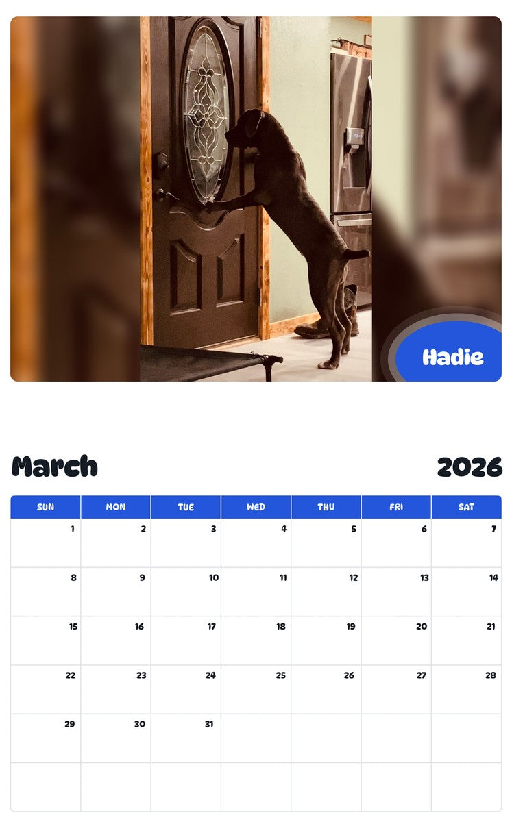 November 2025 - October 2026 Hadie - Pawidols Pet Calendar